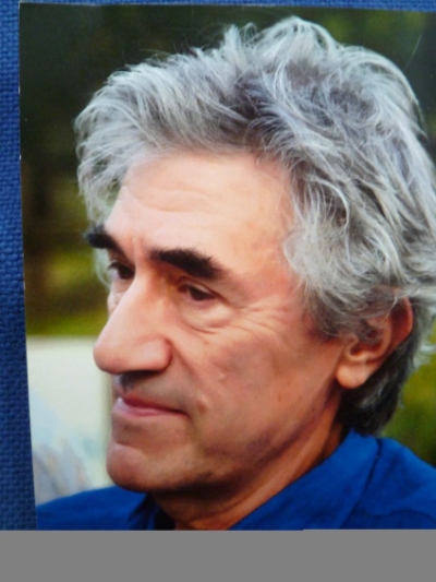 Gino C. Segrè