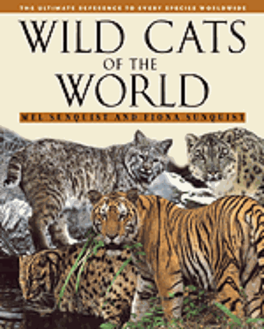 Wild Cats of the World