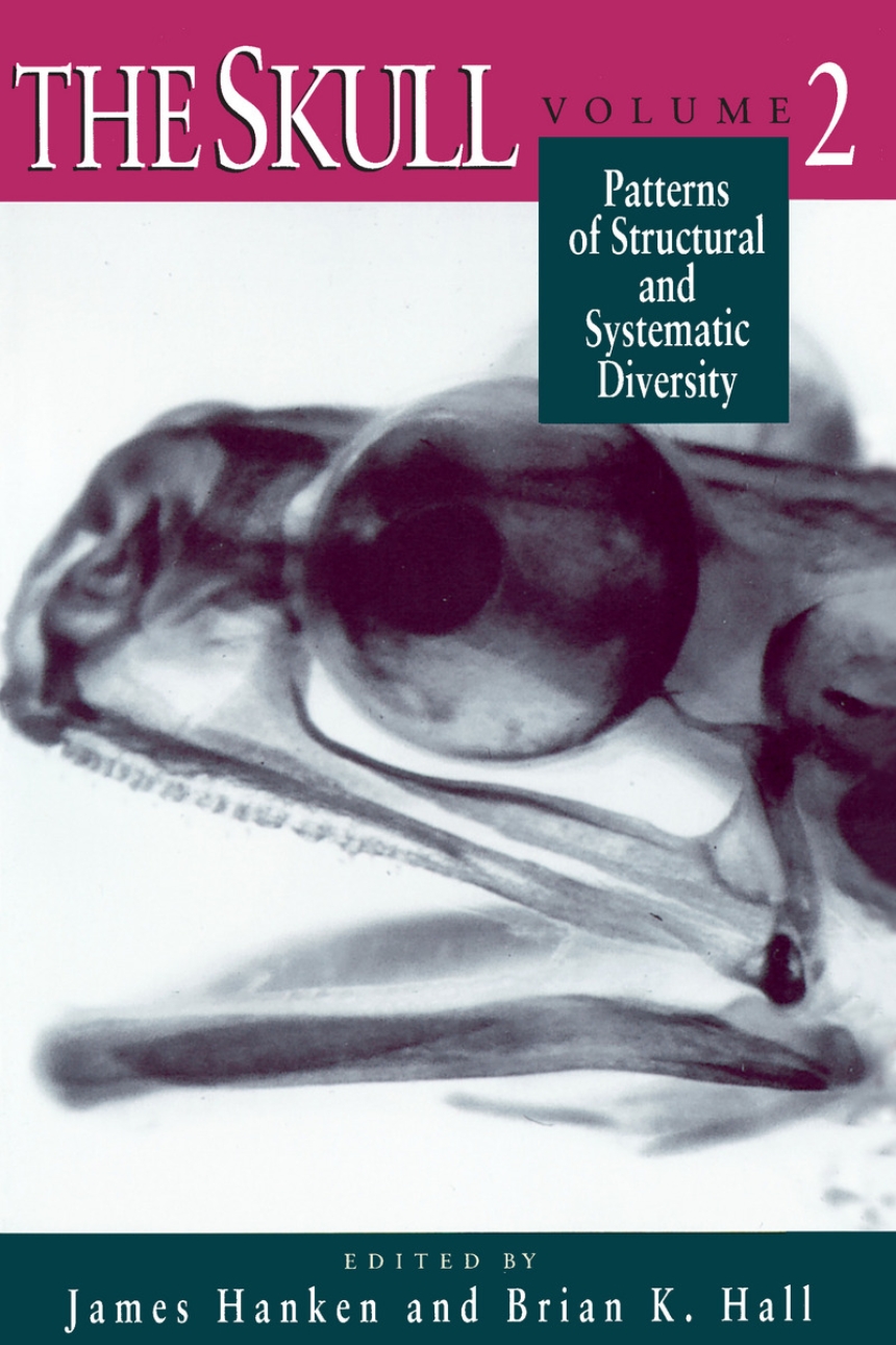 The Skull, Volume 2