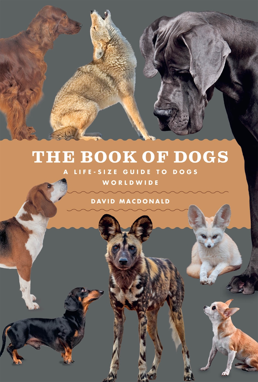 The Book of Dogs