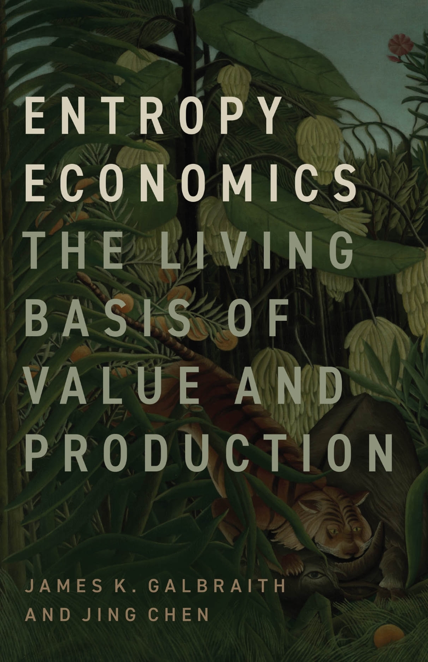 Entropy Economics