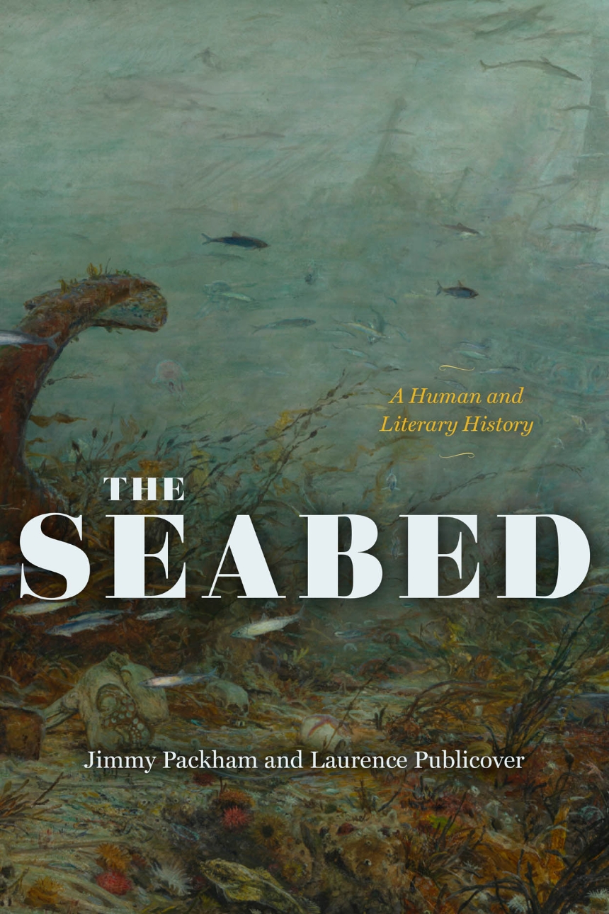 The Seabed