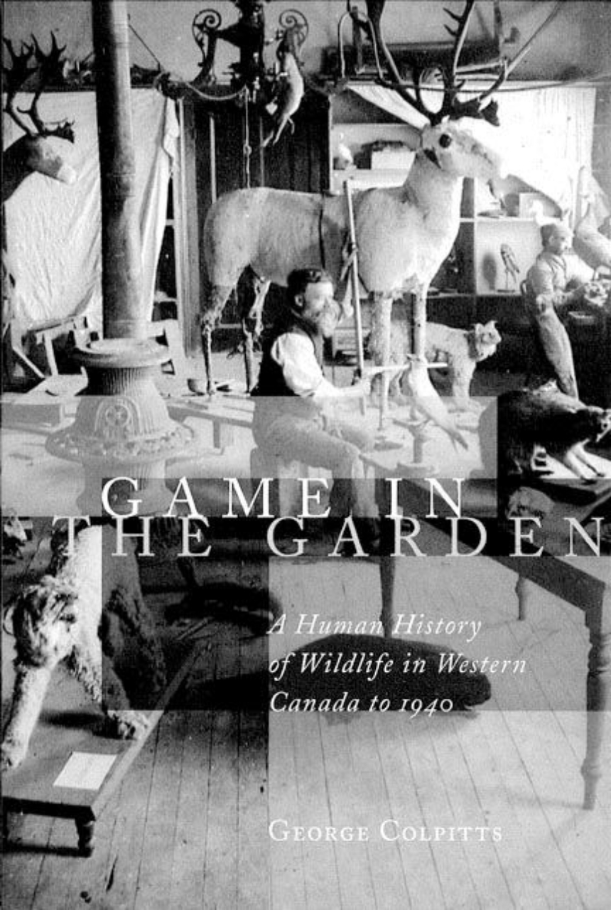 Game in the Garden