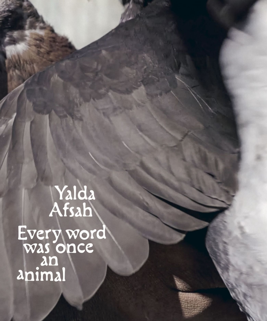 Yalda Afsah