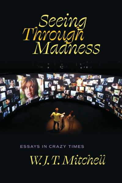 Seeing Through Madness: Essays in Crazy Times