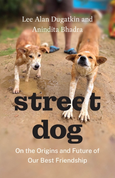Street Dog: On the Origins and Future of Our Best Friendship