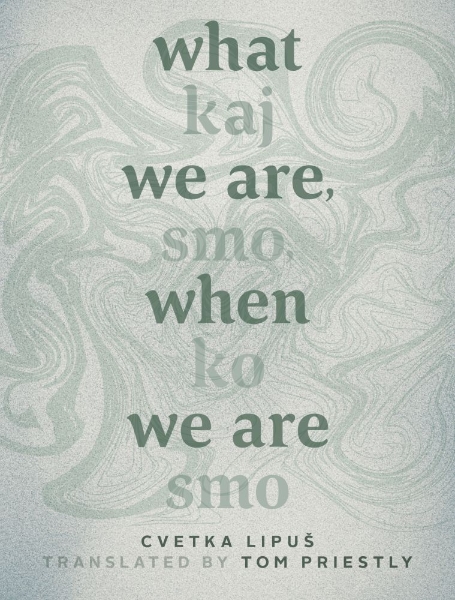 What We Are, When We Are: Kaj smo, ko smo