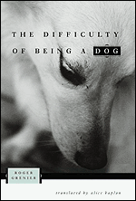 The Difficulty of Being a Dog