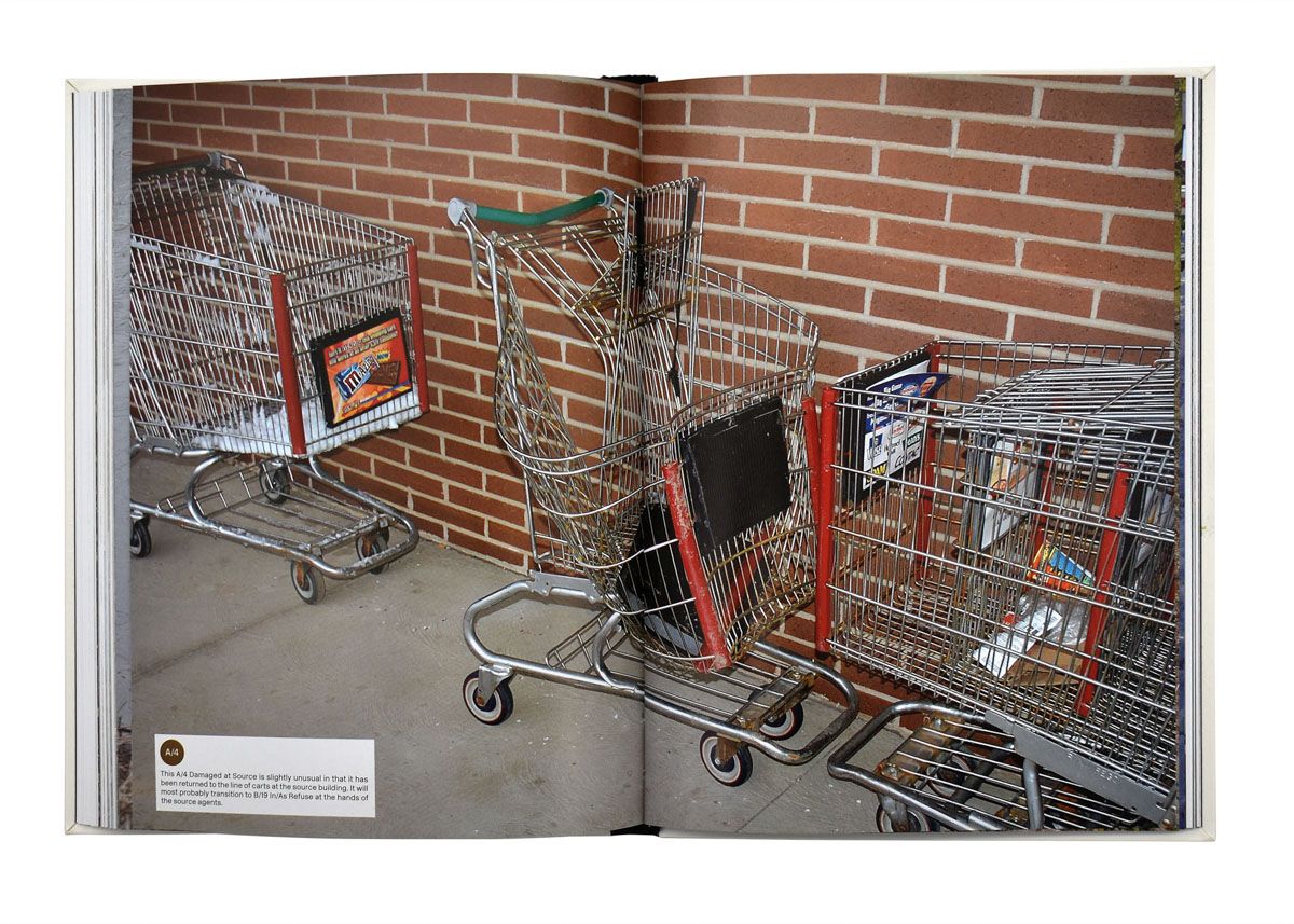 Stray Shopping Carts of Eastern North America 03 - click to open lightbox